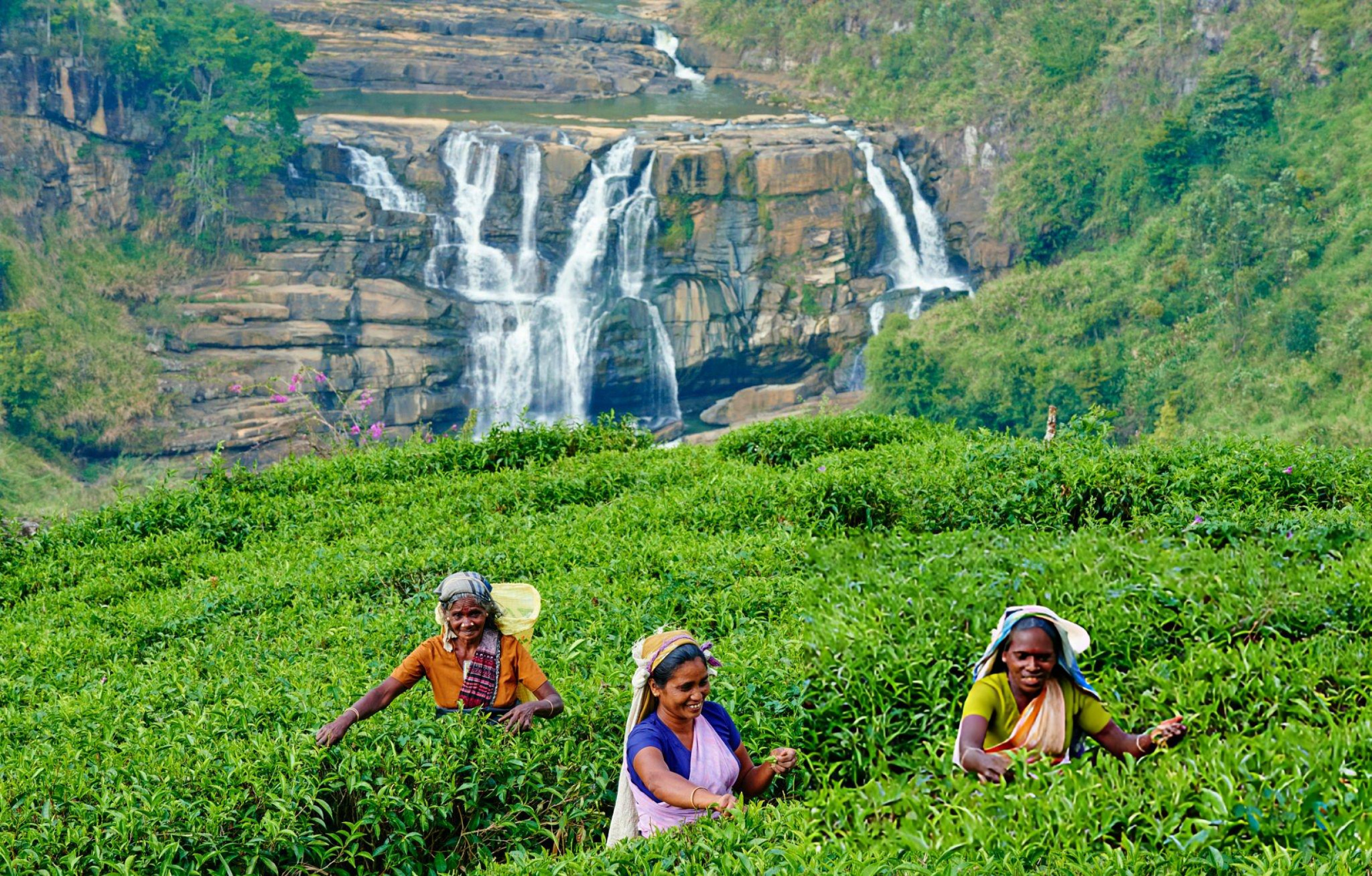 優和ランカ旅行へようこそ